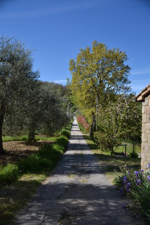 Giardino Di Potentino セッジャーノ エクステリア 写真