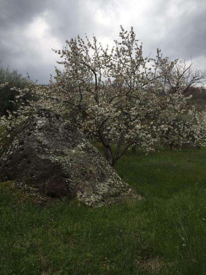 Giardino Di Potentino セッジャーノ エクステリア 写真
