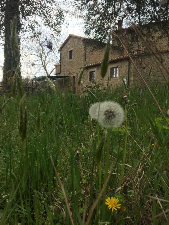 Giardino Di Potentino セッジャーノ エクステリア 写真